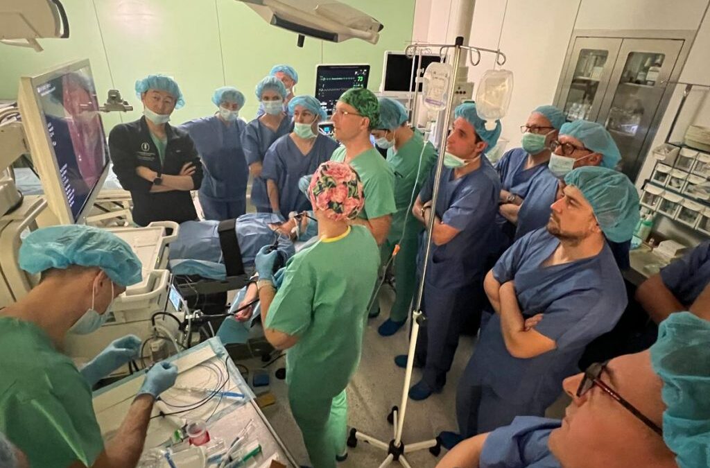 Warsztaty z&nbsp;endoskopowego leczenia nowotworów oraz zamykania ubytków w&nbsp;Brzezinach