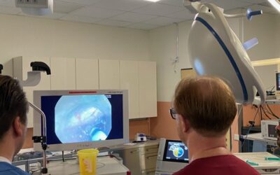 Szkolenie z&nbsp;techniki ESD — ERBE, Wendisch Rietz 06/2023