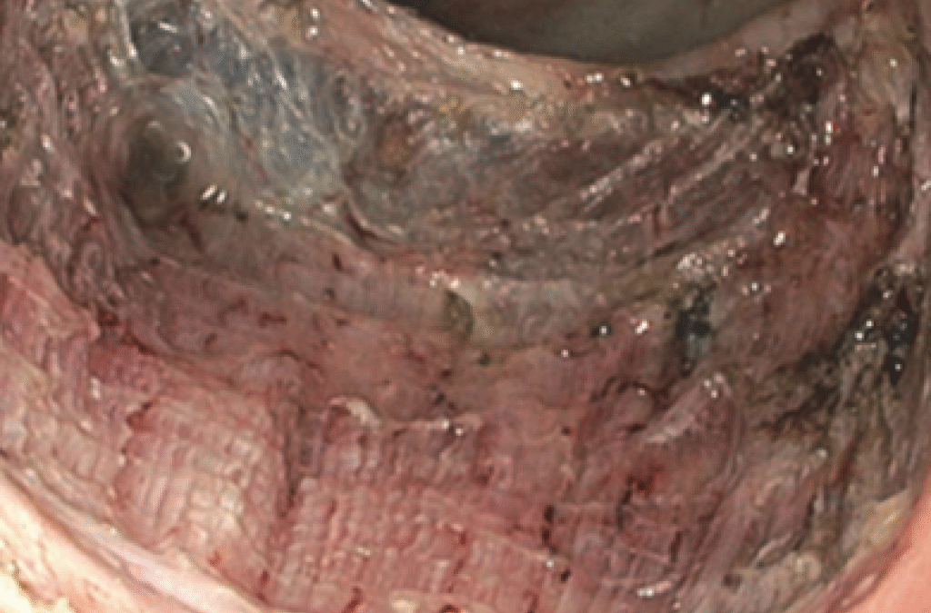 Nowe wyzwania naukowe