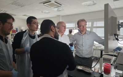 Szkolenie ESD — Pentax Forward Academy. Hamburg 2026